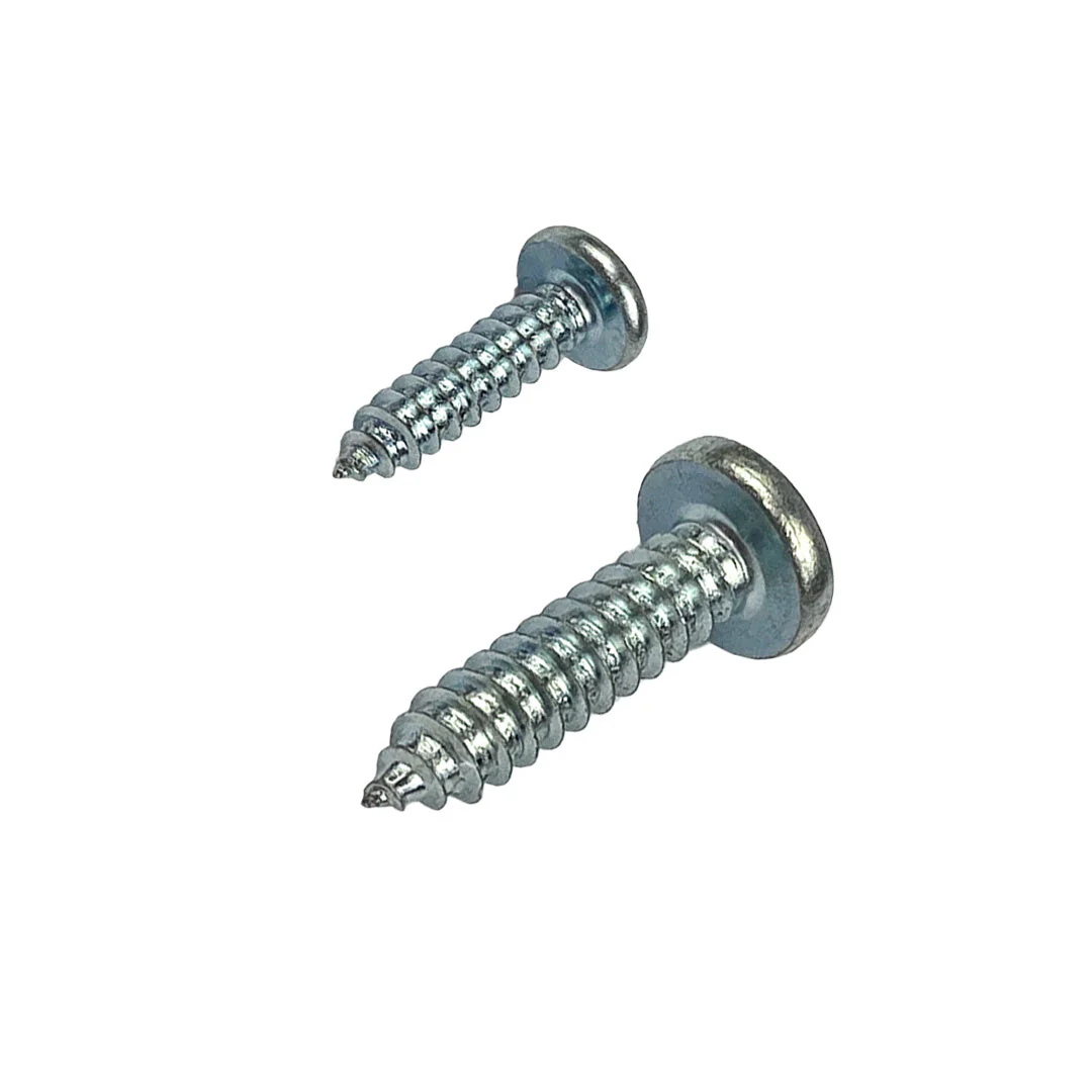 6g x 10mm Pan Self Tapping Screw Phillips Zinc Plated - Image 3