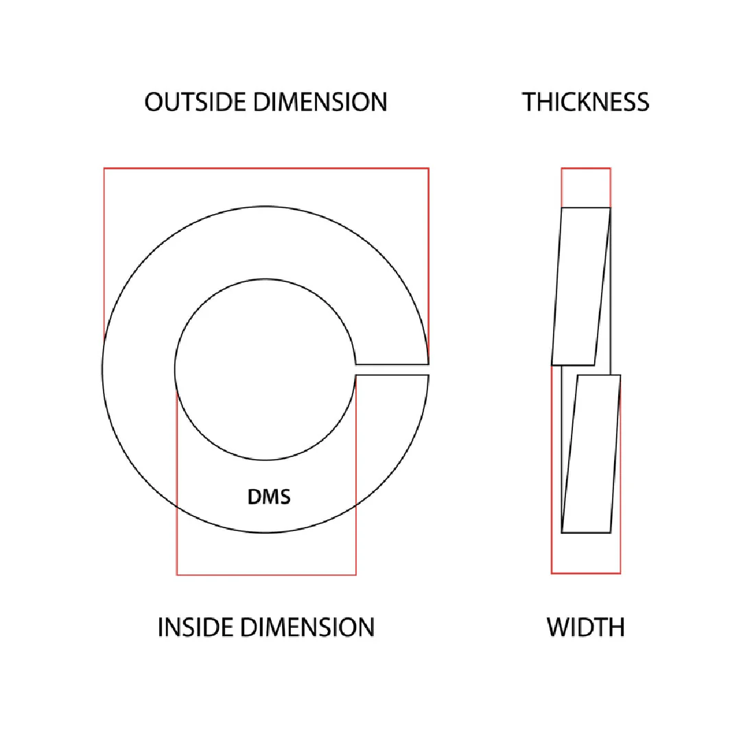 M4 x 8mm Round Spring Washer G304 Stainless Steel - Image 3
